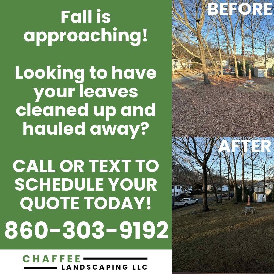 Fall leaf cleanup flyer